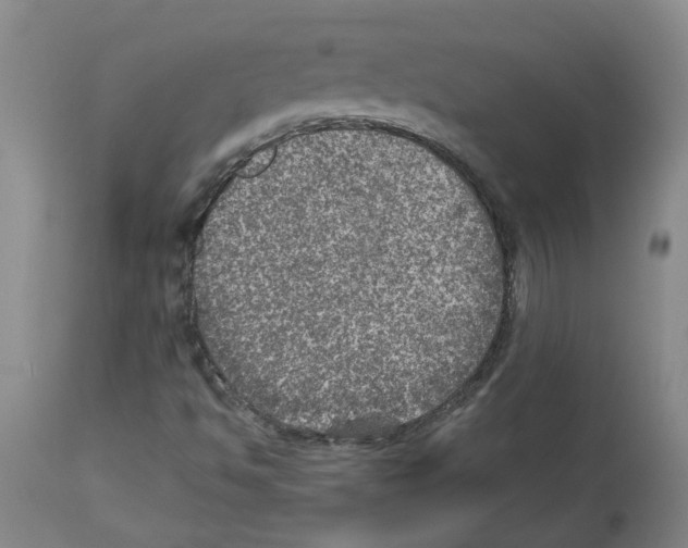 X0000112951494200910051206