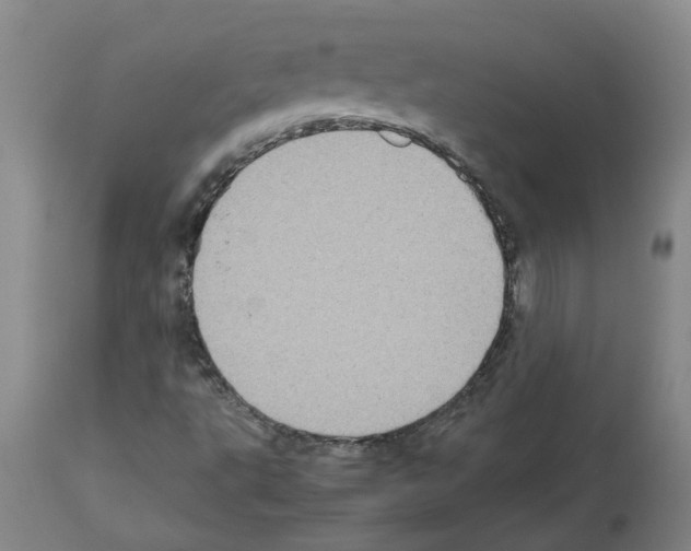 X0000112951495200910051206