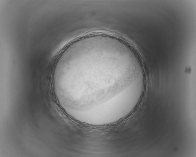 X0000112951496200910051206