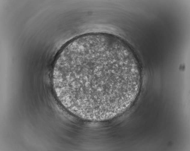 X0000112951497200910051206