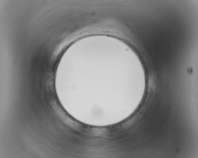 X0000112951498200910051207