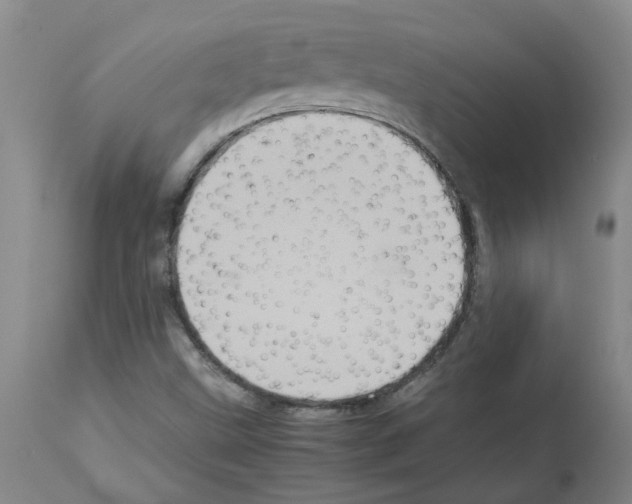 X0000112951499200910051207