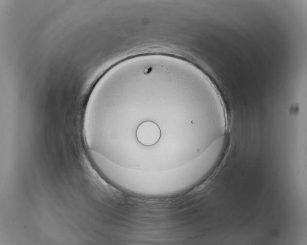 X0000112951500200910051207