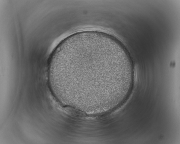 X0000112951501200910051207