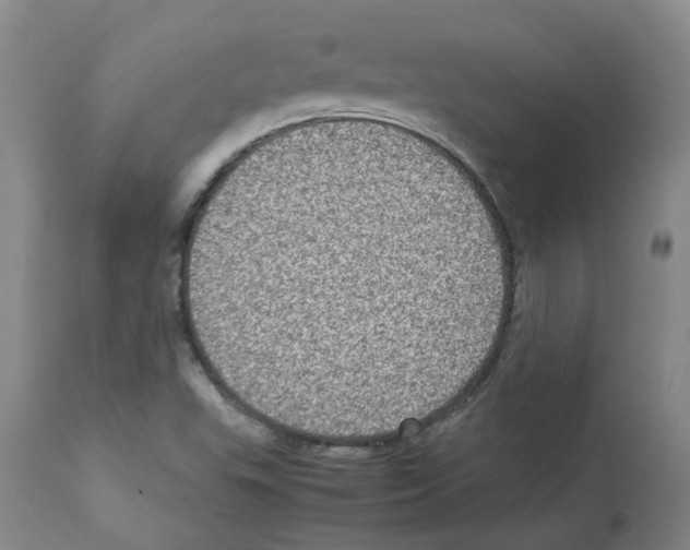 X0000112951503200910051207