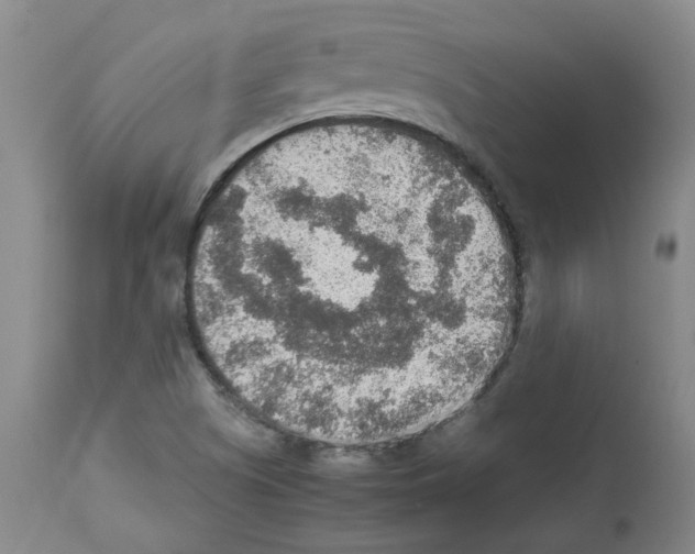 X0000112951505200910051207