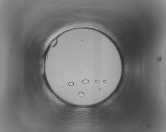 X0000112951510200910051207