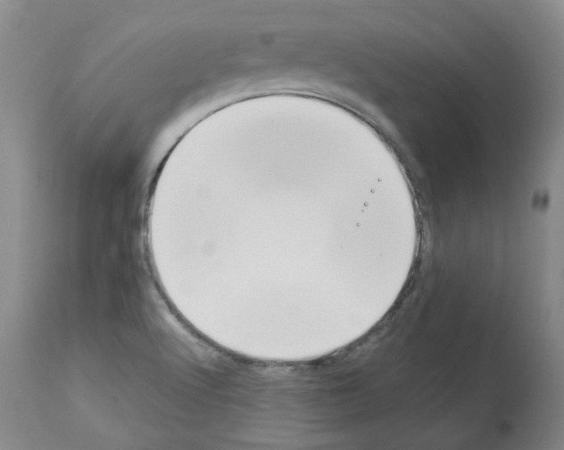 X0000112951512200910051207