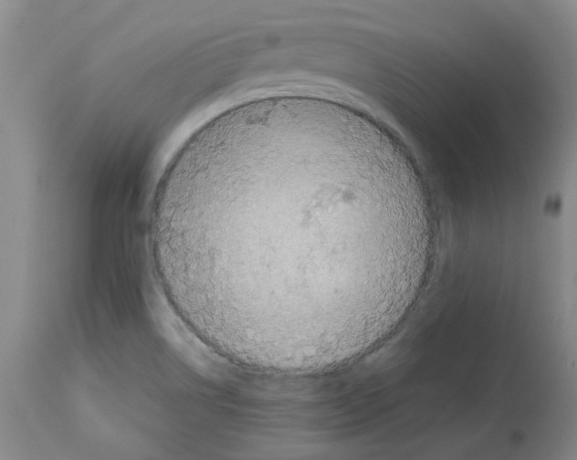 X0000112951514200910051207