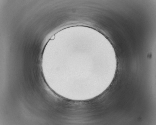 X0000112951516200910051207