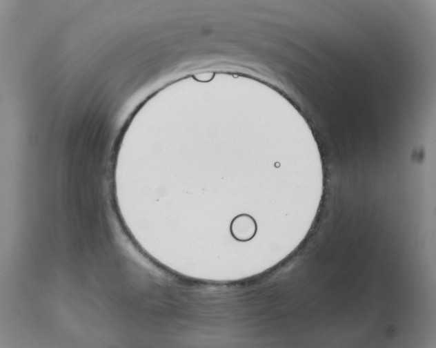 X0000112951518200910051207