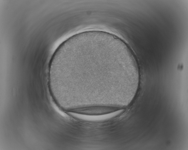 X0000112951519200910051207