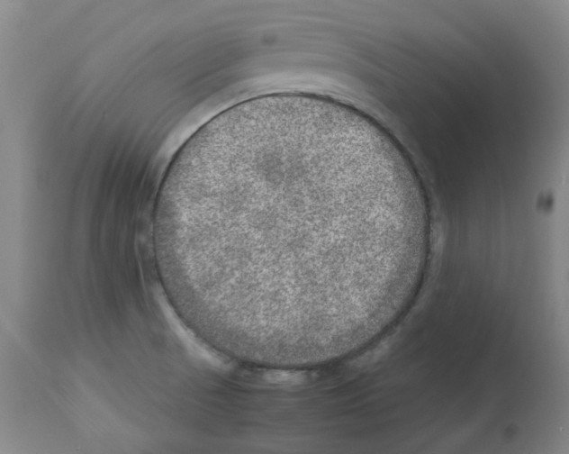 X0000112951521200910051207