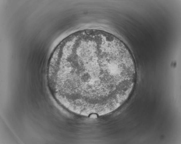 X0000112951525200910051207