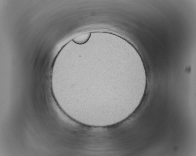 X0000112951526200910051207