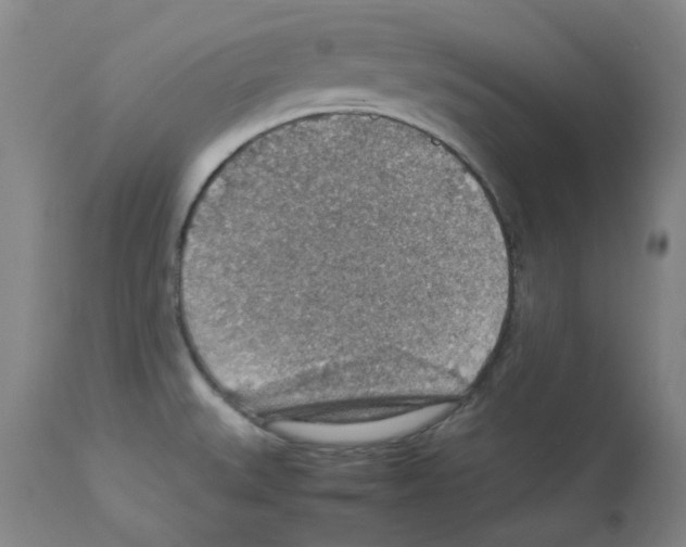 X0000112951527200910051207