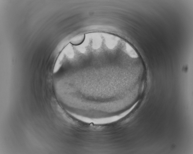 X0000112951529200910051207