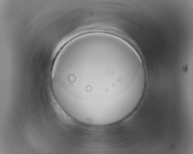 X0000112951530200910051207