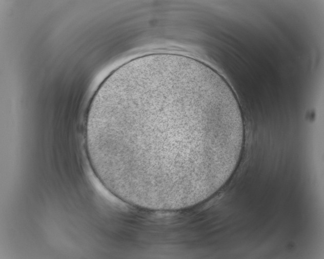 X0000112951531200910051207