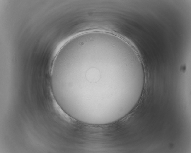 X0000112951532200910051207