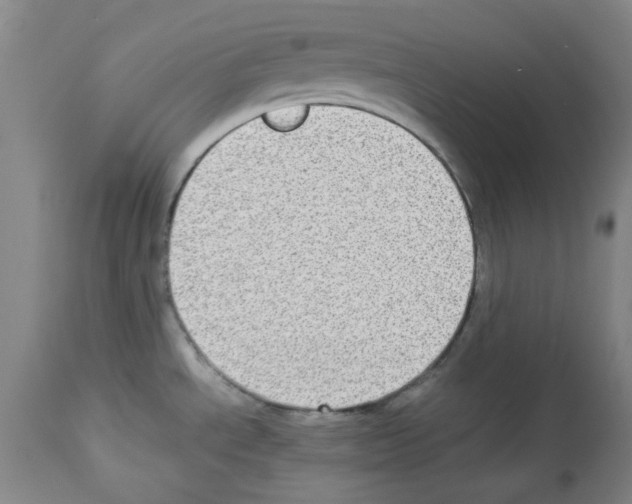 X0000112951534200910051207