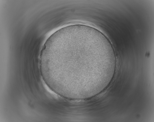 X0000112951535200910051207
