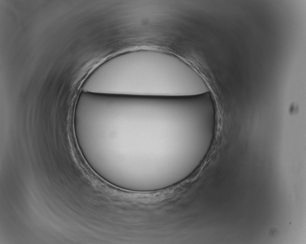 X0000112960001200908270930