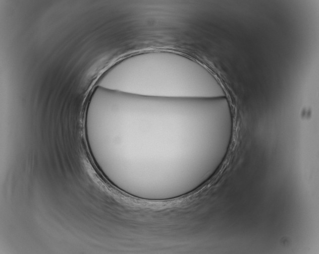 X0000112960002200908270930