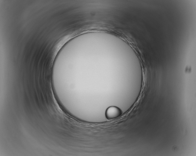 X0000112960003200908270930