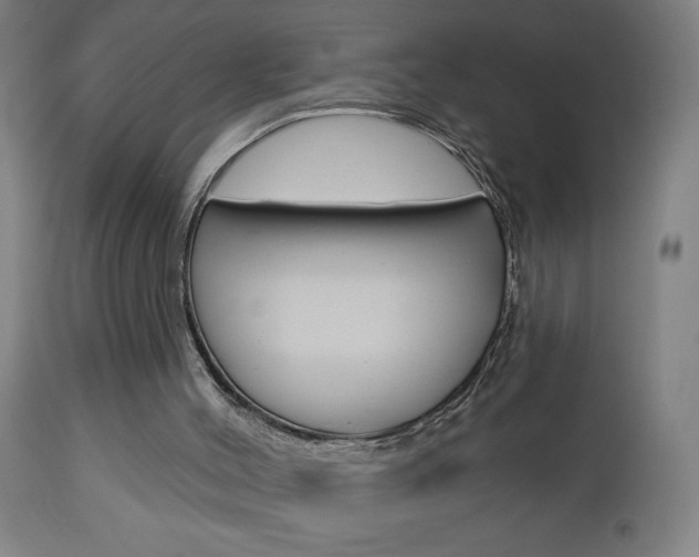 X0000112960004200908270930