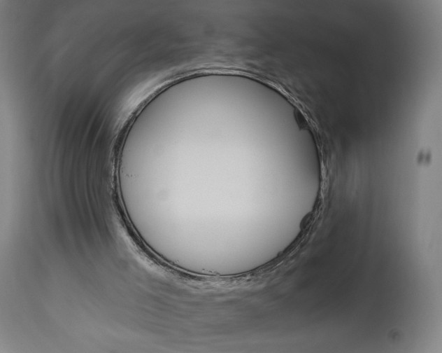 X0000112960005200908270930