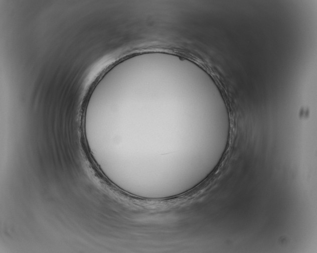 X0000112960006200908270930