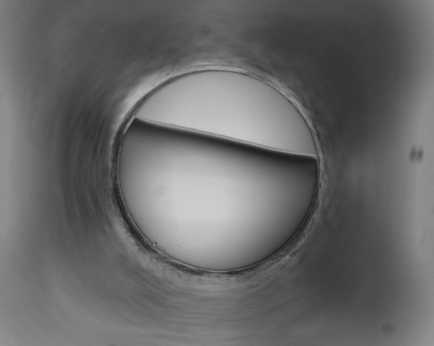 X0000112960008200908270930