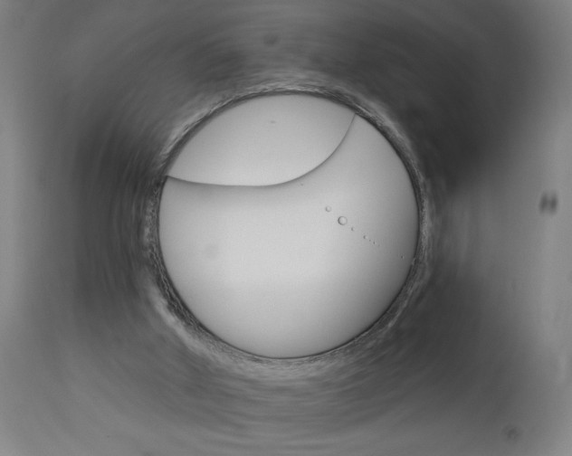 X0000112960010200908270930