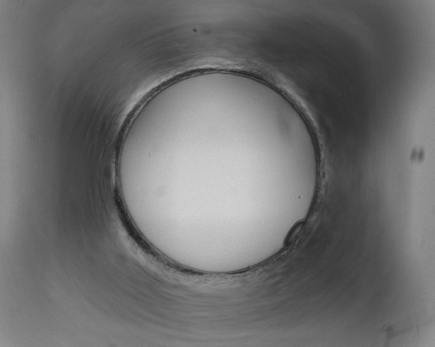 X0000112960011200908270930