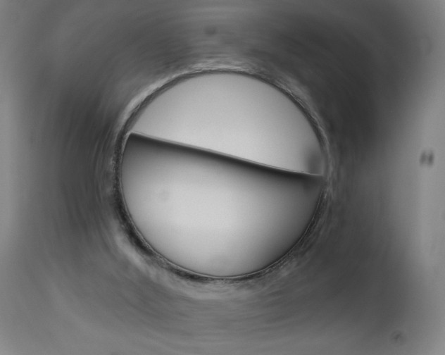 X0000112960012200908270930