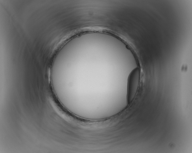 X0000112960013200908270930