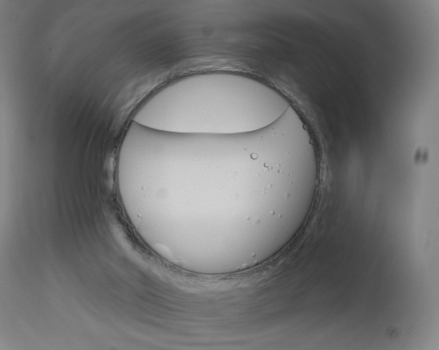 X0000112960014200908270930