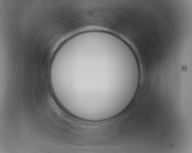 X0000112960015200908270930