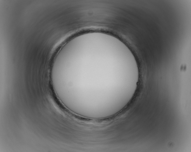 X0000112960016200908270930