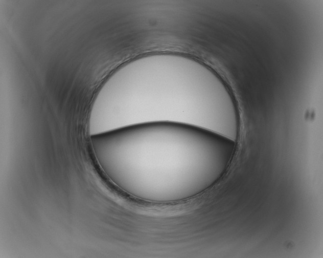 X0000112960017200908270930