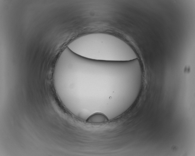 X0000112960018200908270930