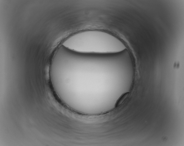 X0000112960019200908270930