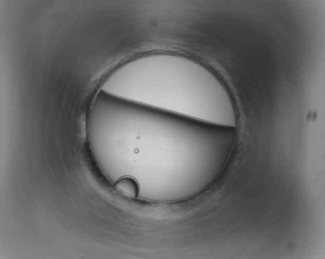 X0000112960020200908270930