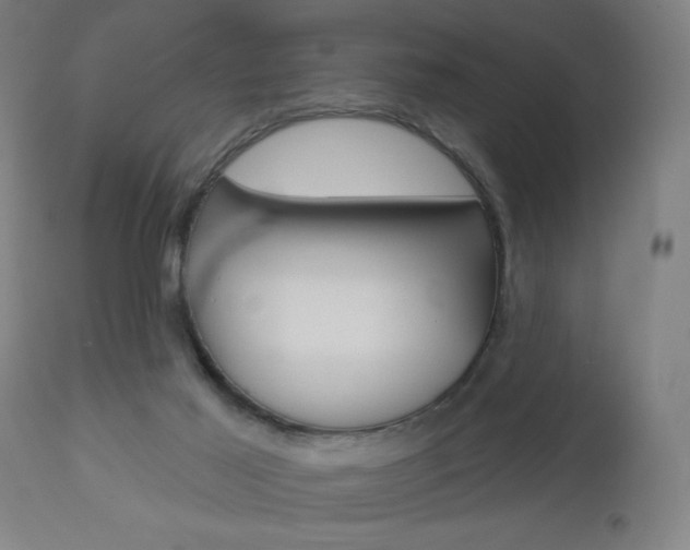 X0000112960021200908270930
