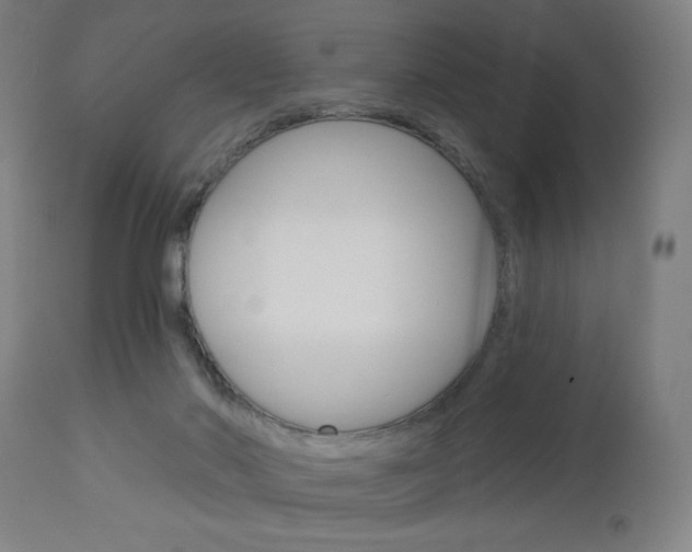 X0000112960022200908270930