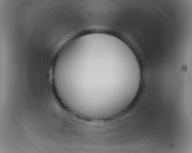 X0000112960024200908270930