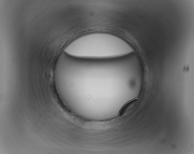 X0000112960025200908270930