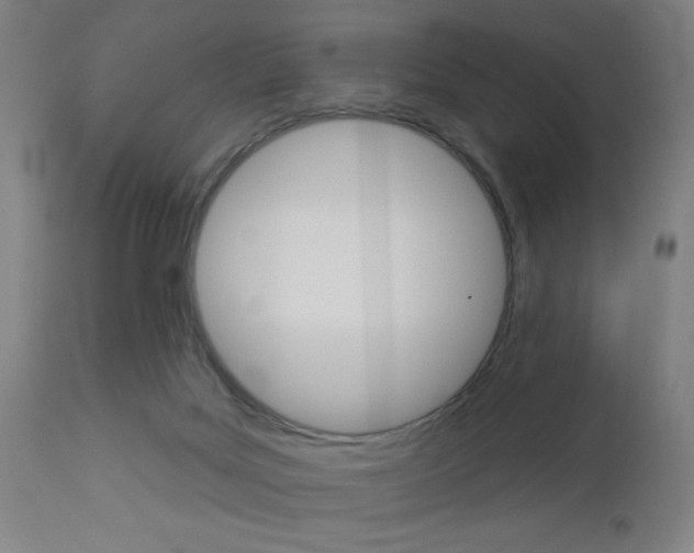 X0000112960027200908270929