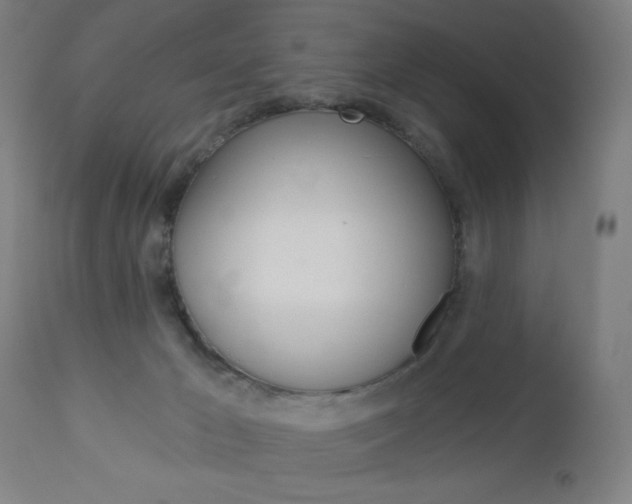 X0000112960029200908270929